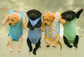 Where your customers hang out