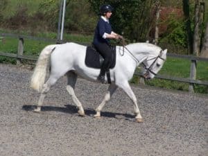 Riding Winston was always an adventure