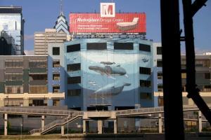 Creating a vision - whale mural Philadelphia