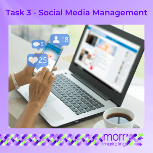 Business Task 3 - Social media management